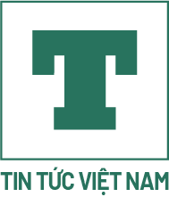 TTVN